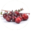 Cranberry-Juice-Powder