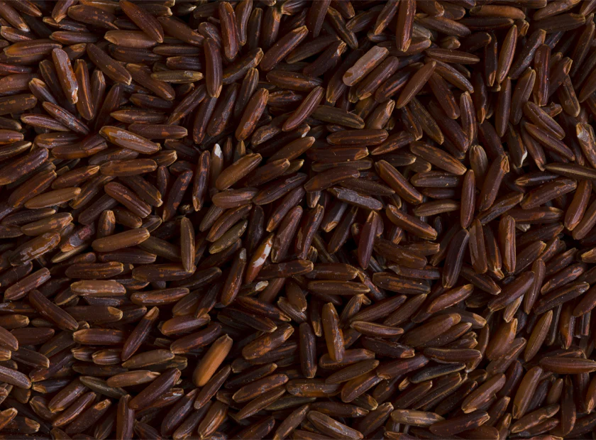 Red Yeast Rice